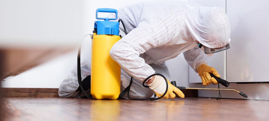 Tile Cleaning Marsden | gold coast | Big red gold coast