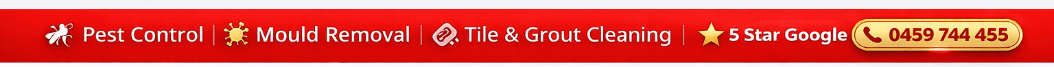 Big Red Gold Coast | header and footer