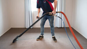 Carpet Cleaning and Maintenance