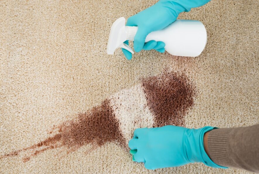 Carpet Cleaning Gold Coast