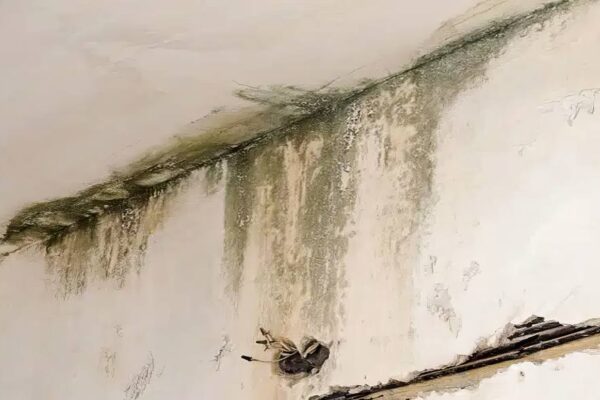 Water damage