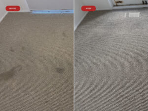 Carpet Cleaning Gold Coast