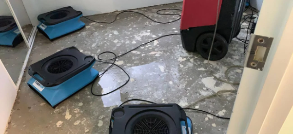 Big Red Gold Coast | How Professional Water Damage Restoration Saves Your Property