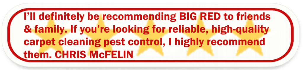 Big Red Gold Coast|Water Damage Restoration Gold Coast, Logan & Brisbane