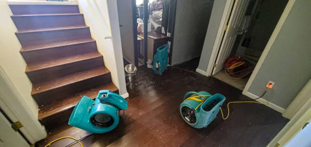Big Red Gold Coast | Water Damage & Mould Growth: How Fast Mould Starts After a Leak or Flood