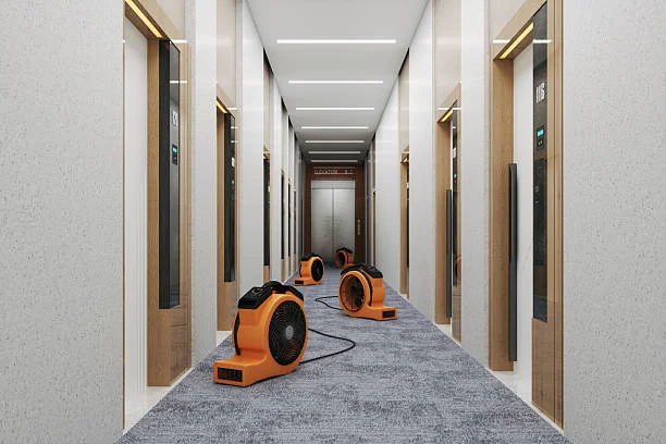 Big Red Gold Coast | How Long Does Water Damage Take to Dry in Gold Coast & Brisbane?