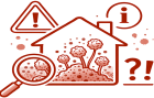 mould-need-to-know-820x500