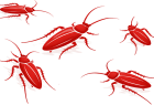 pest-cockroaches-820x500