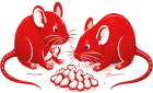 pest-rodents-820x500